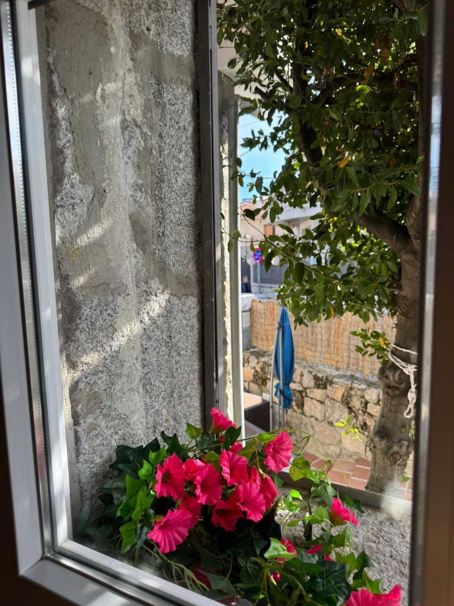 Rural El Petirrojo Con Patio Jardin *